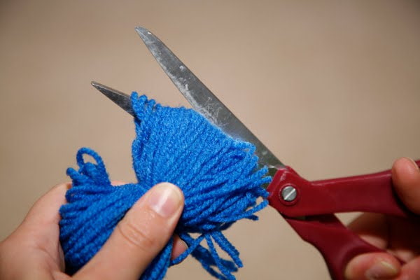 We cut the skein We cut the skein