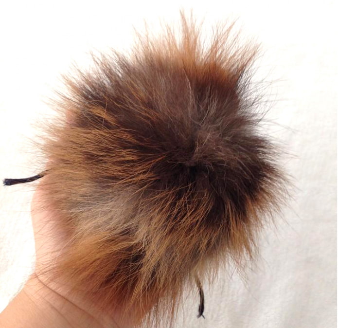 Ready pompom Ready pompom