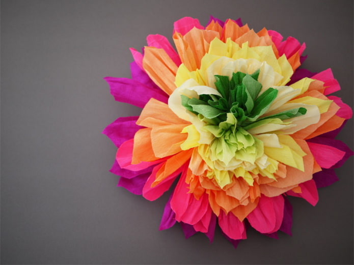 Big multicolored flower