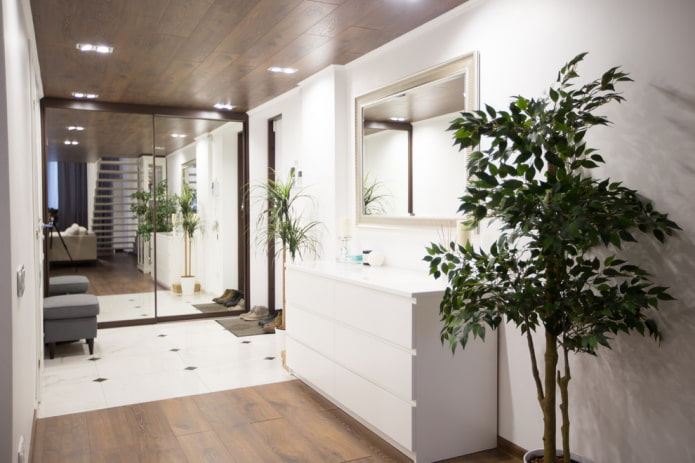 chest of drawers with a mirror in the interior of the corridor