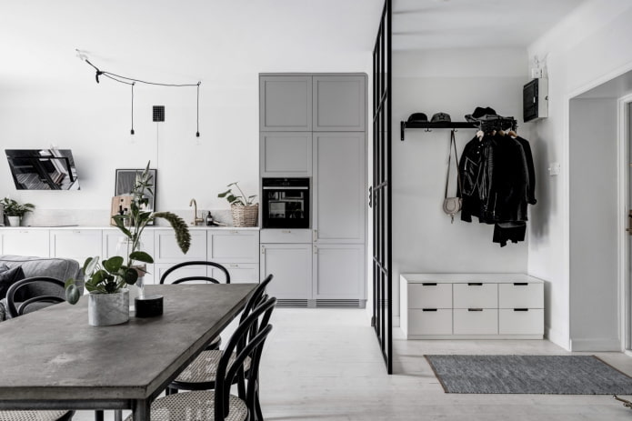 interior design of the kitchen-hallway