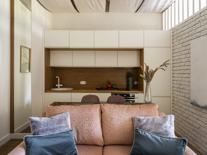 set in the interior of the kitchen-living room