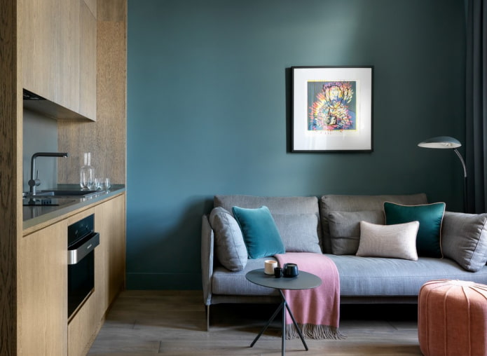 the location of the sofa in the interior of the kitchen-living room