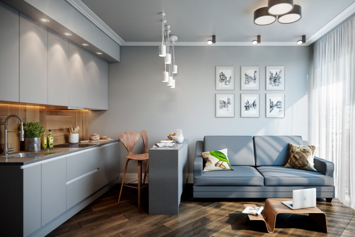 interior design of the kitchen-living room