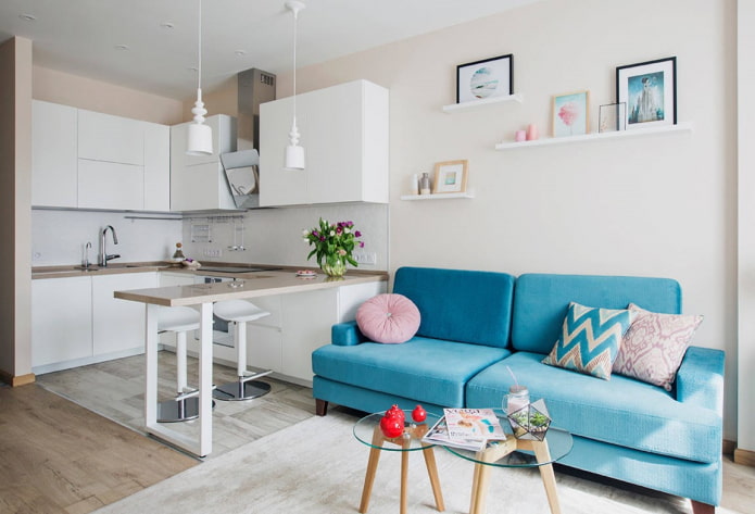 layout and zoning of a small-sized kitchen-living room layout and zoning of a small-sized kitchen-living room