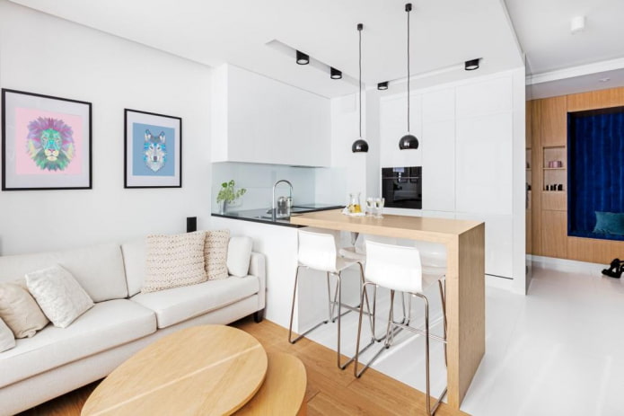 design of a small-sized kitchen-living room design of a small-sized kitchen-living room