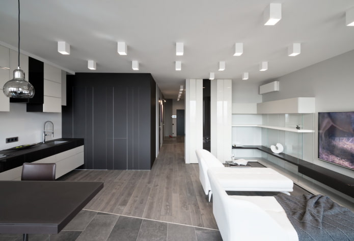 functional light in the interior of the kitchen-living room