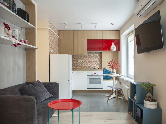 design of a small kitchen combined with a living room