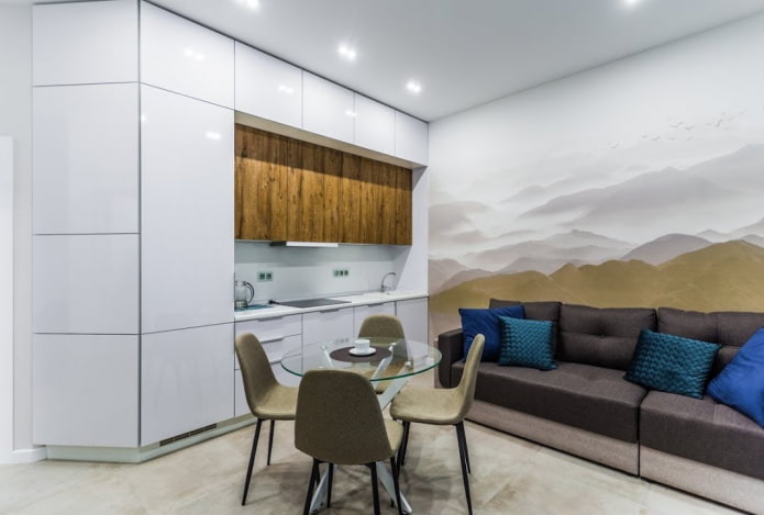 arrangement of a kitchen-living room 15 squares