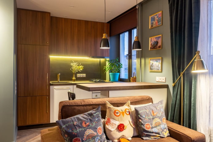 arrangement of the interior of the kitchen-living room arrangement of the interior of the kitchen-living room