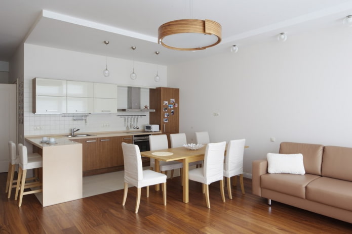 interior of the kitchen-living room in light colors