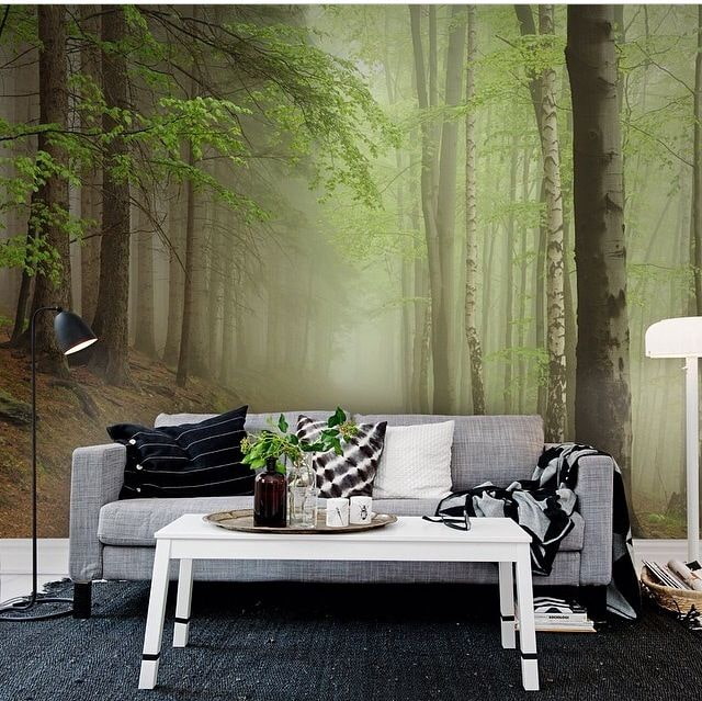 photomurals depicting nature in the interior