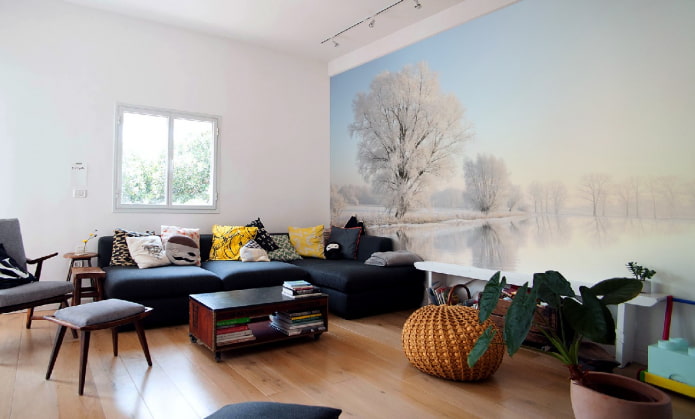 photomurals depicting nature in the interior