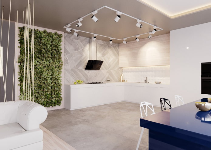 spots in the design of the kitchen-living room spots in the design of the kitchen-living room