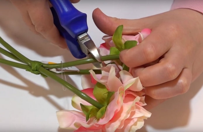 We cut the stems We cut the stems