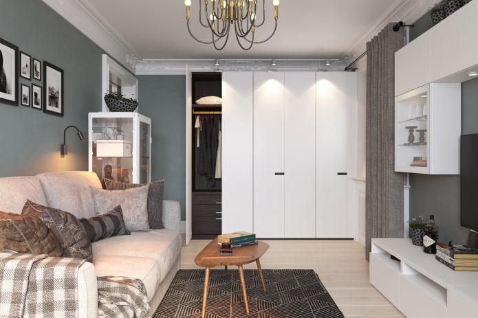 Wardrobe in the living room