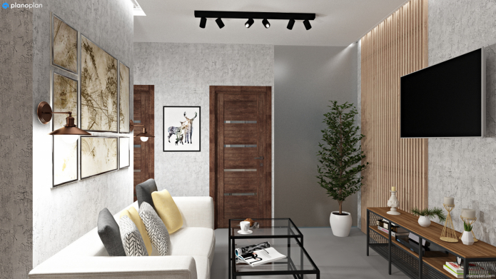 living room with a narrow corridor living room with a narrow corridor