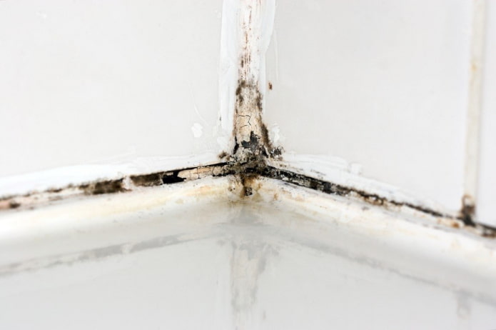 mold in the bathroom