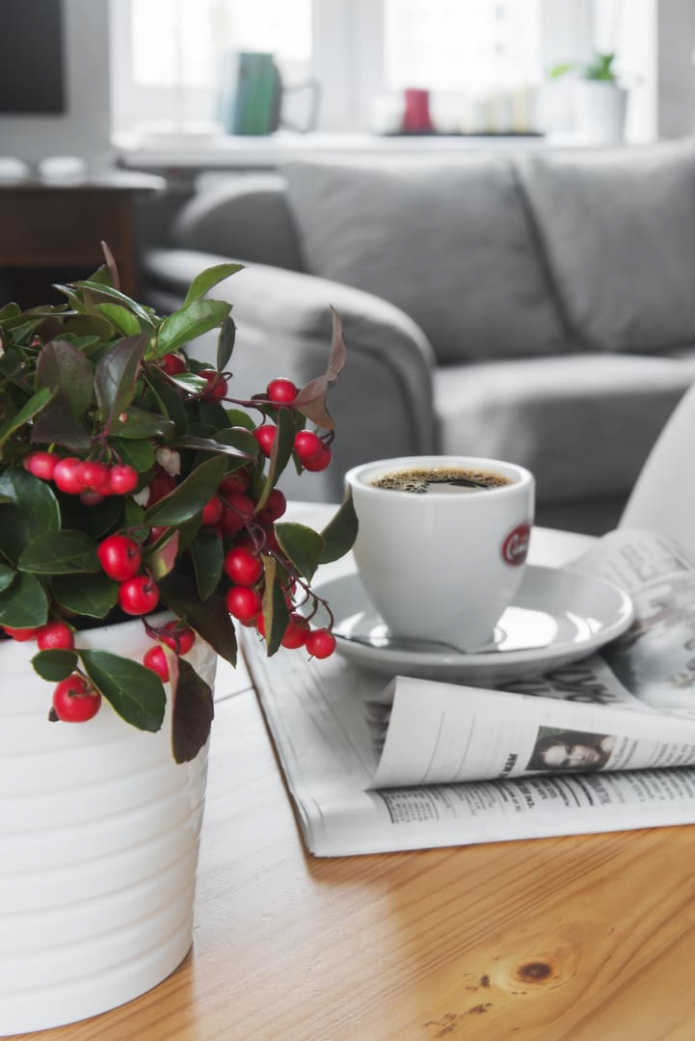 Still life Still life