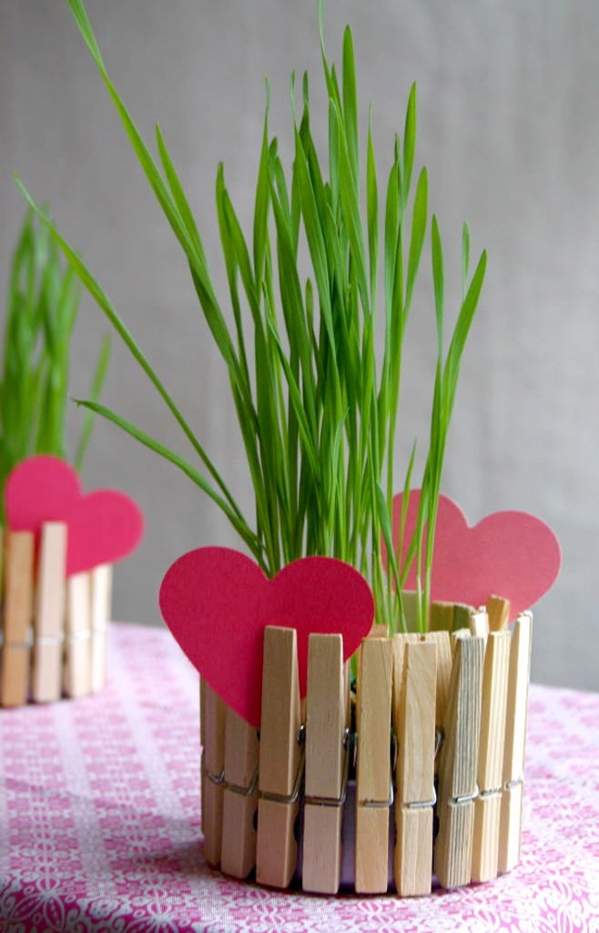 Pot from a can and clothespins