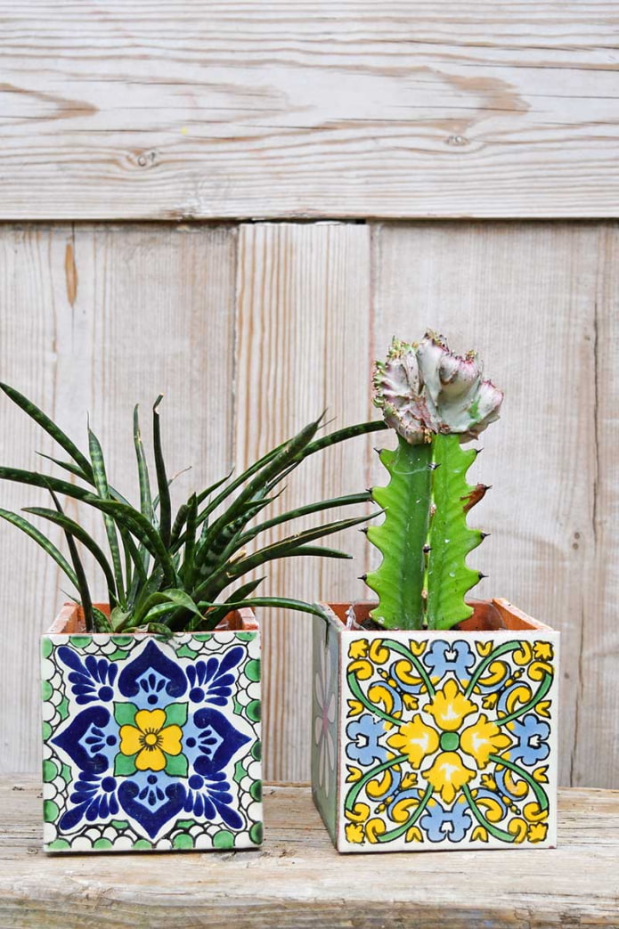 Planter of colored tiles
