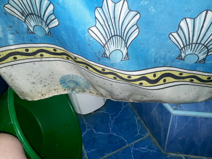Dirty shower curtain