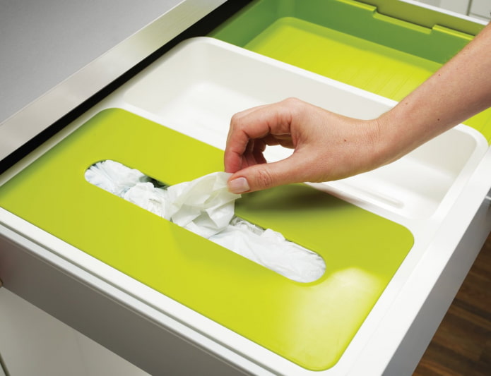 Organizer for storing bags