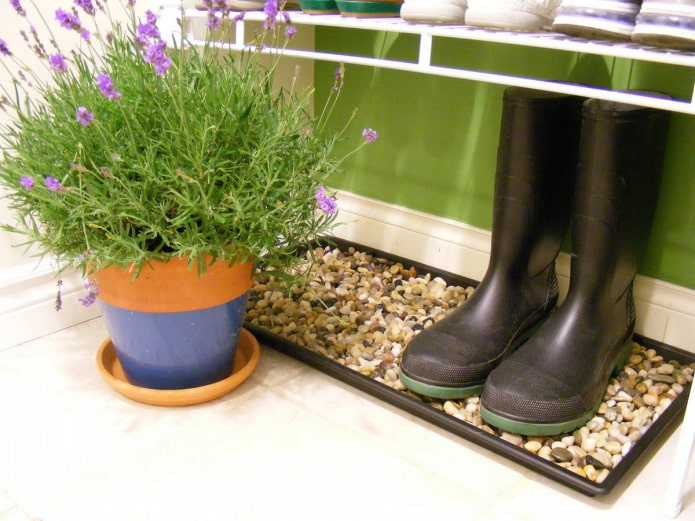 Tray with stones Tray with stones