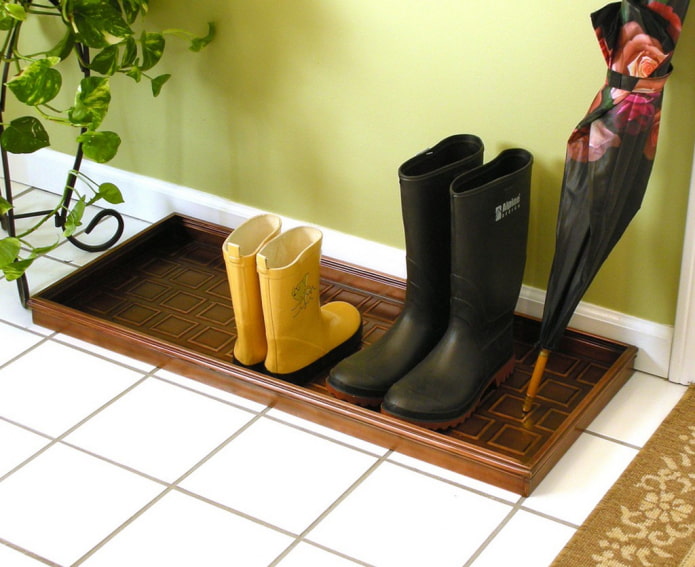Shoe tray Shoe tray