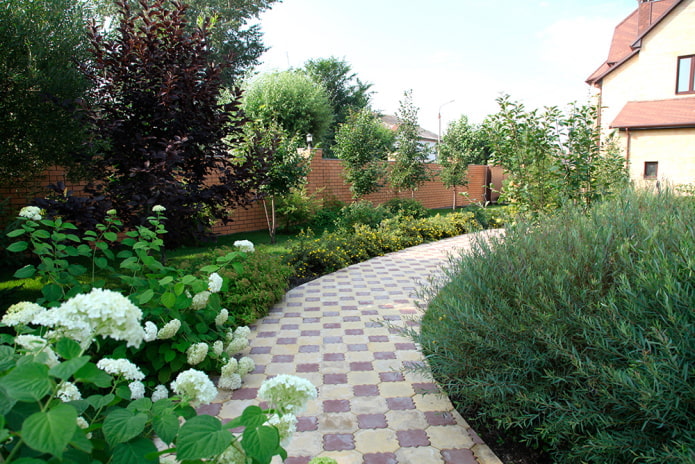 a lot of greenery on the site