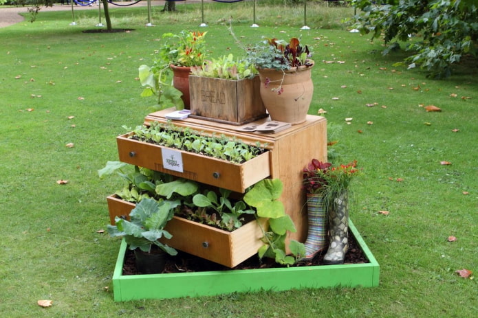 flower bed in a chest of drawers