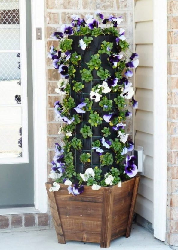 Flowerbed made of mesh Flowerbed made of mesh