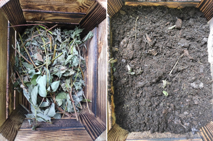 Filling the boxes Filling the boxes