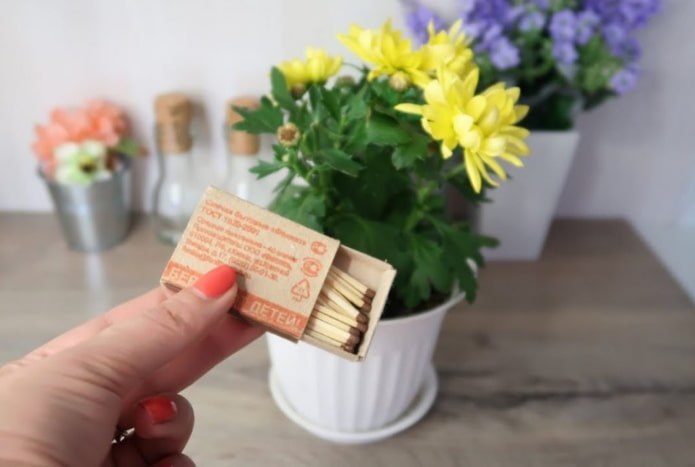 how to get rid of midges in flowers