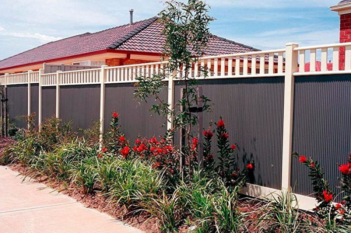 Flowers along the corrugated fence Flowers along the corrugated fence