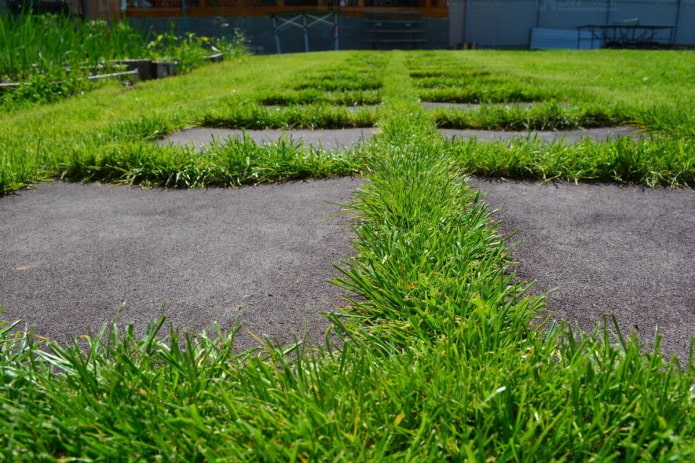 Rubber tile walkway Rubber tile walkway