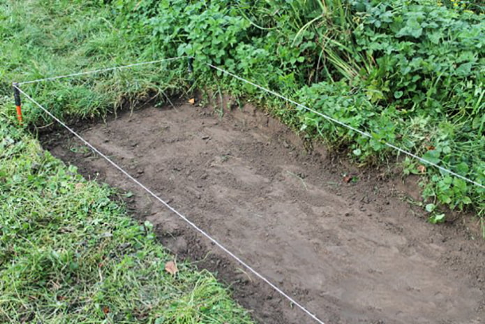 Removing the sod Removing the sod