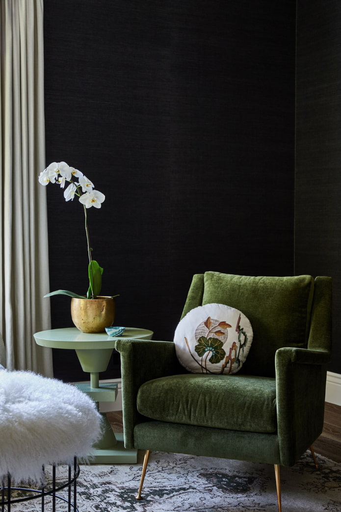 black walls in the living room black walls in the living room