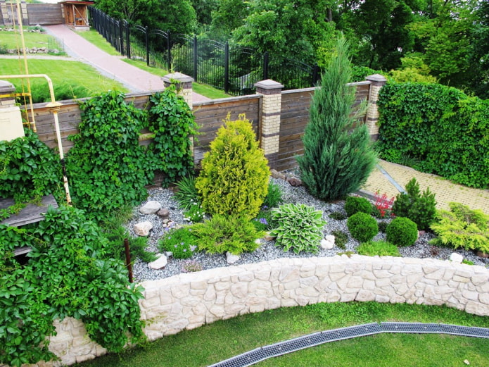 decorative bushes in the country decorative bushes in the country