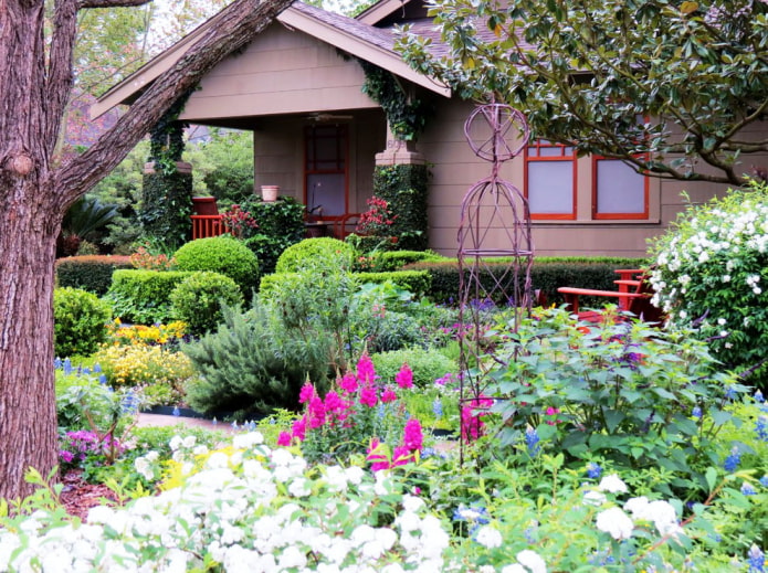 densely planted area densely planted area