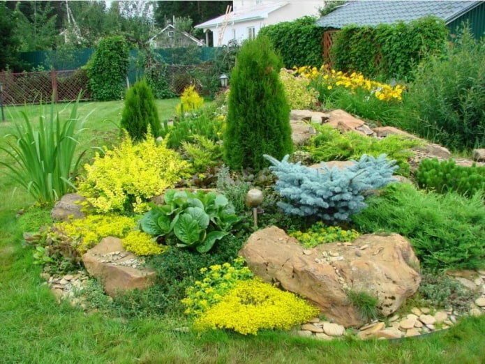 Alpine slide in the country Alpine slide in the country