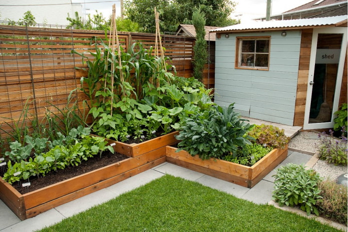 landscaping of the site landscaping of the site