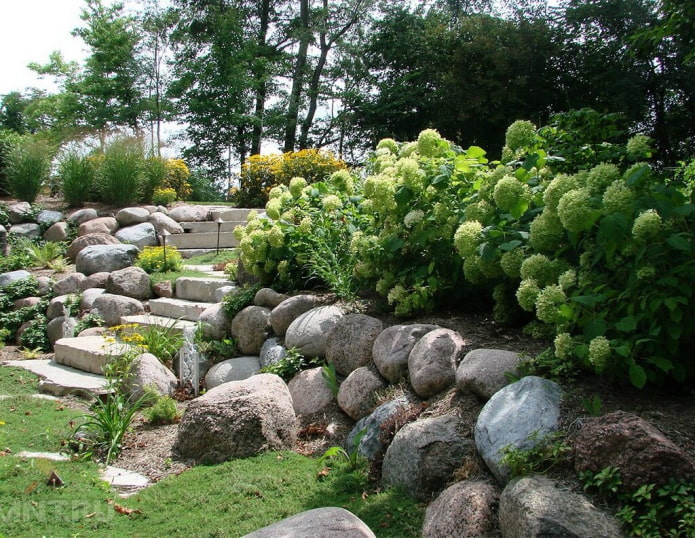 flowering shrubs for the slope