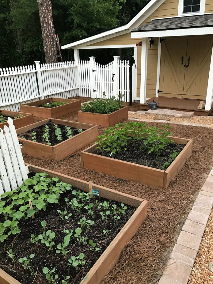 neat garden beds neat garden beds