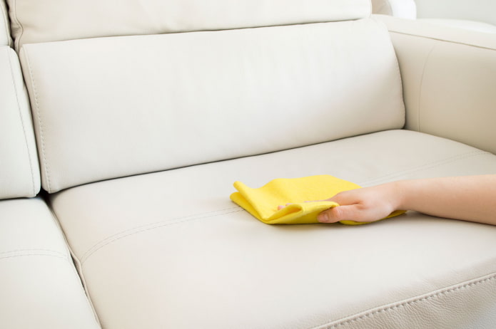leather sofa care