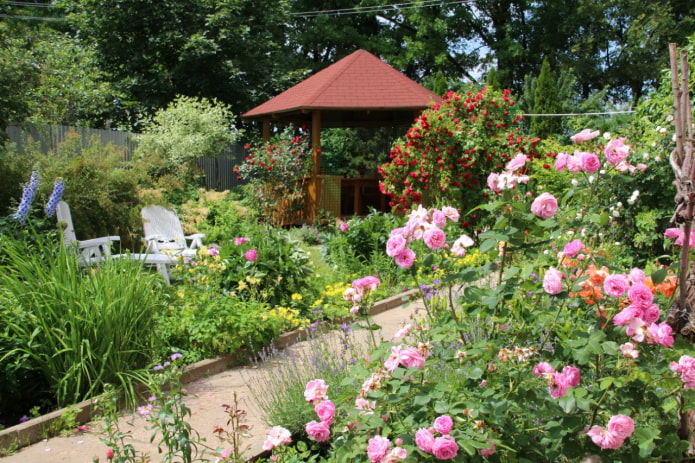 Gazebo and roses