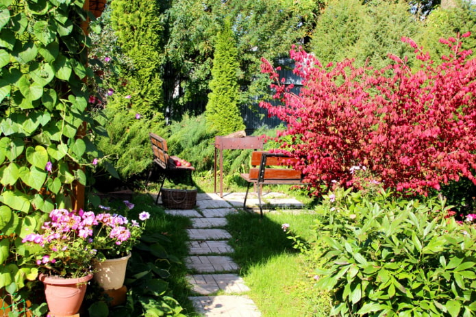 Tui, barbecue and benches