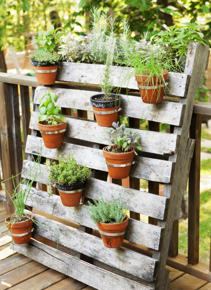 Pots on a pallet