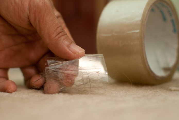 Scotch tape collects wool Scotch tape collects wool