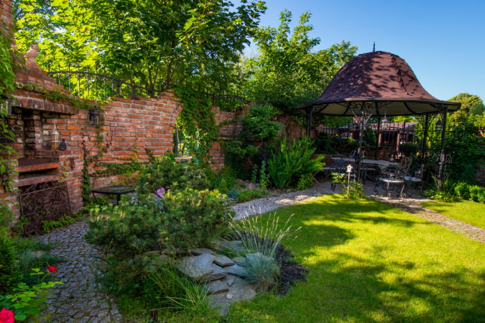 Girlish grapes on the fence Girlish grapes on the fence